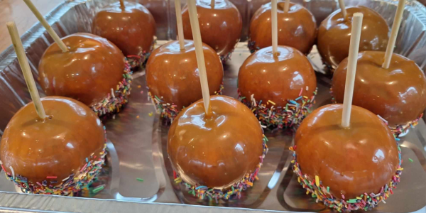 Some of the surplus fruit - Gala apples
