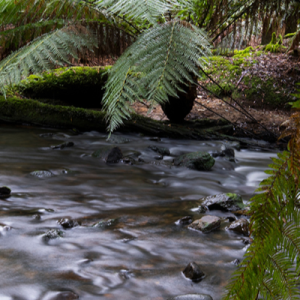 Mōrere Hot Springs: Looking back, moving forward