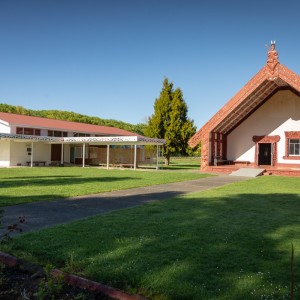 Te Hokinga Mai. Our taonga return home